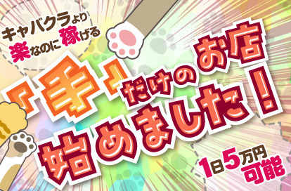 2980円（にゃんきゅっぱ）